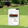 AgroBest PlantStim (Bio Stimulant)