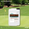 AgroBest Vam Booster (Bio Stimulant)