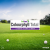 ISP Intec Colourphyll Total 