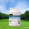 Mirimichi Green Nutri-Tree & Shrub