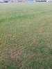 Maredo MT418 VibeDisc-Seeder