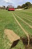 Redexim Vibra-Sandmaster (with Verti-Quake)