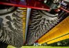 Redexim Multi-Seeder 1200 (Dimple Seeding)