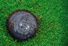 Rain Bird 952 Series Rotors