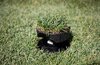 Rain Bird Sod Cup Kit