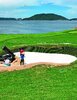 Traptex LR Bunker Liner