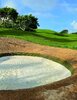 Traptex Bunker Liner