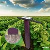 Spectrum  Technologies FieldScout TDR 250 Economy Soil Moisture Meter